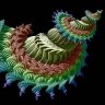 Mandelbrot