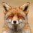 Fox-x