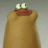 hylol